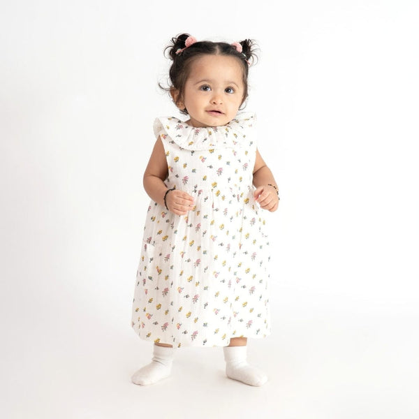 Blossia 100% Cotton Frock with Blommer 6 to 24 Months