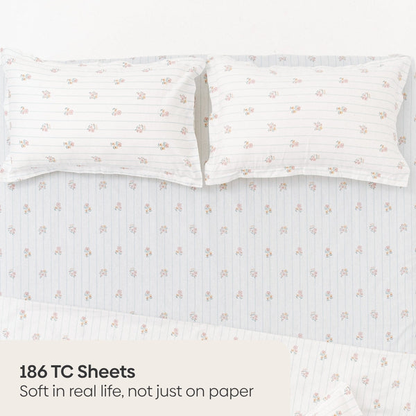 Kohana Stripe, 100% Cotton King Size Bedsheet, 186 TC