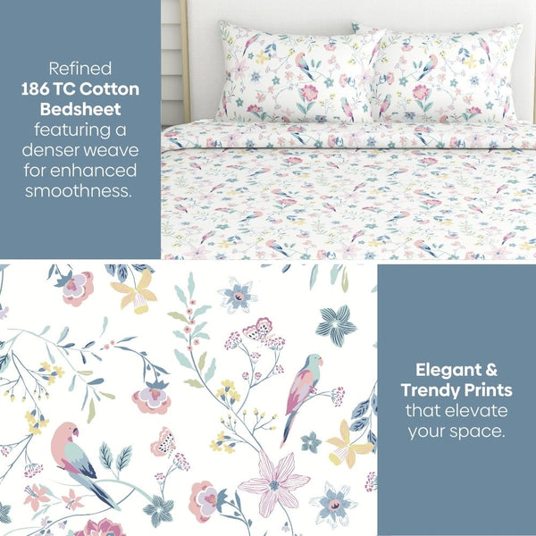 Exotic Wings, 100% Cotton King Bedsheet, 186 TC