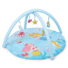 Into theOcean Baby Activity Gym with set of 5 rattles