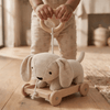 Push & Pull Cart Toy
