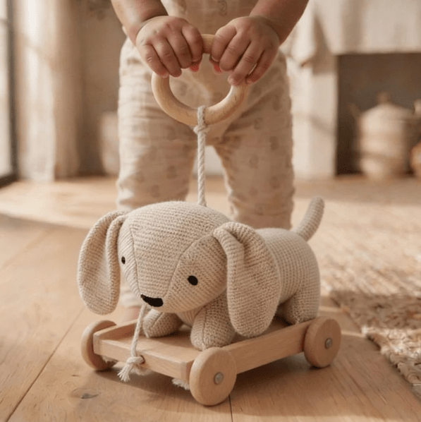 Push & Pull Cart Toy