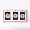 Spin & Frame Photo Frame- Gray & White