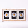 Spin & Frame Photo Frame- Gray & White