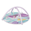 Unicorn Baby Activity Gym with set of 4 rattles