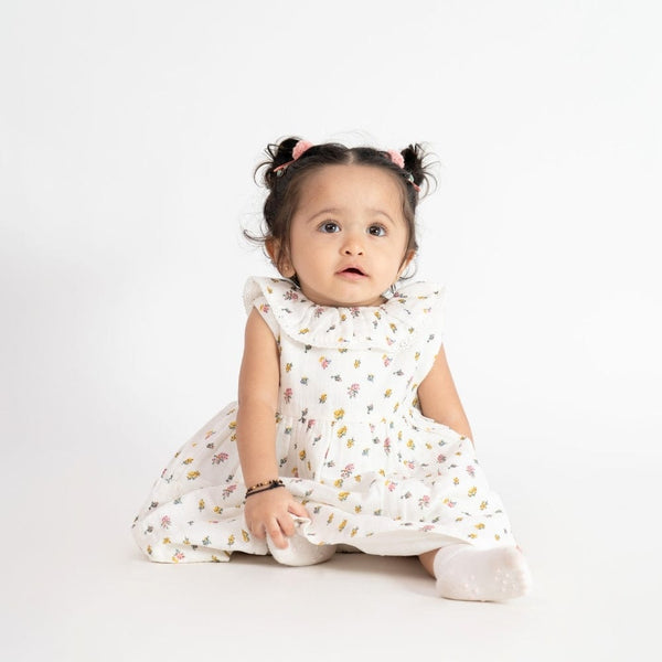 Blossia 100% Cotton Frock with Blommer 6 to 24 Months