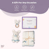 Bunny Hush Baby Shower Gift Set 0 - 2 Year