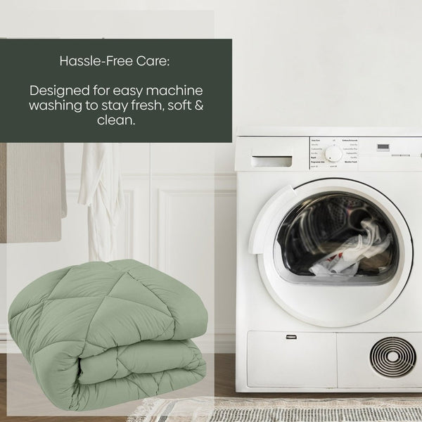 Comfy Flip Solid Reversible Comforter, Sage Green & Olive