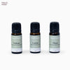 Velour, Luma & Flore Aroma Oil Pack of 3 (10 ml each)