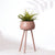 Claystone Planter Small- Blush